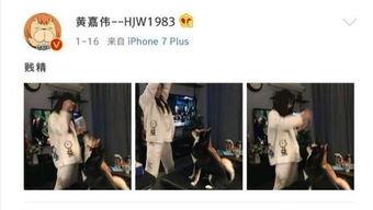 二次元吃瓜娱乐圈